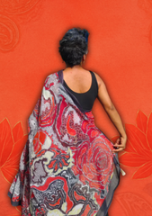 Coca Cola Silk Saree